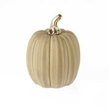 Afbeelding in Gallery-weergave laden, Pompoen beige/goud
