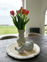 Afbeelding in Gallery-weergave laden, Vogel cement groot
